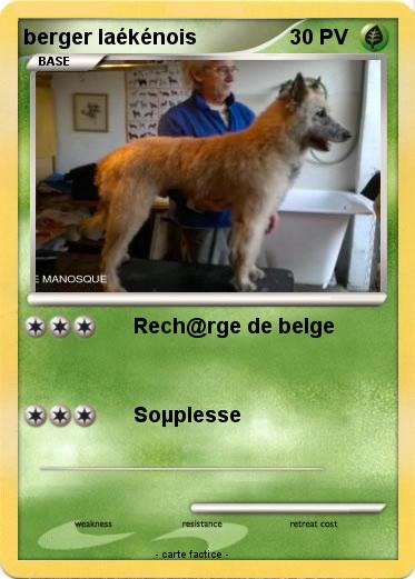 Pokemon berger laékénois