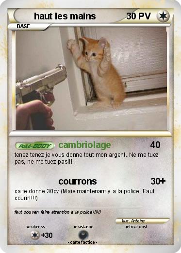 Pokemon haut les mains