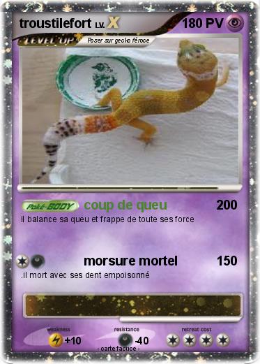Pokemon troustilefort