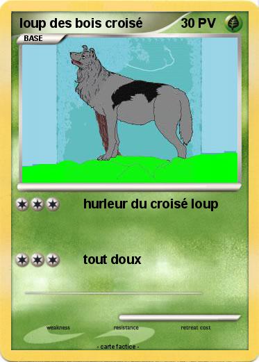 Pokemon loup des bois croisé