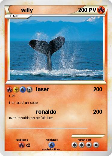 Pokemon willy