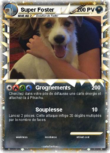 Pokemon Super Foster