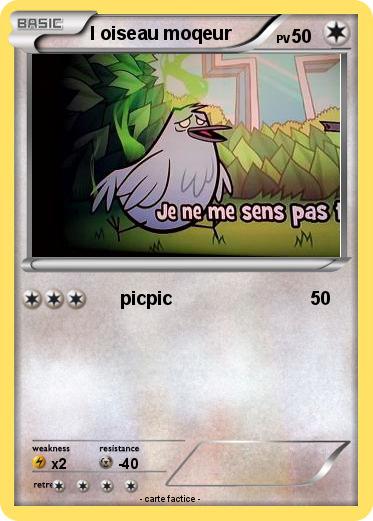 Pokemon l oiseau moqeur