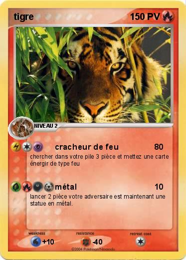 Pokemon tigre