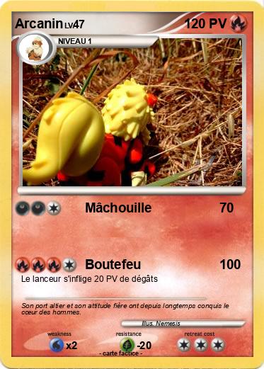 Pokemon Arcanin