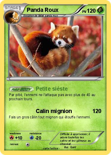 Pokemon Panda Roux