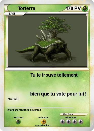Pokemon Torterra