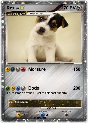 Pokemon Rex