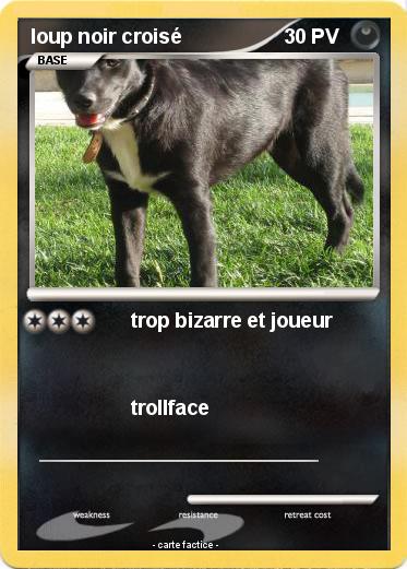 Pokemon loup noir croisé