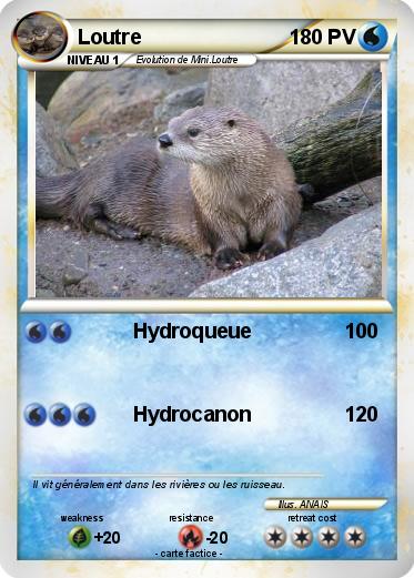 Pokemon Loutre