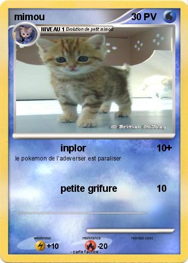 Pokemon mimou
