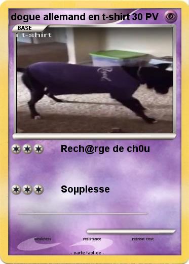 Pokemon dogue allemand en t-shirt