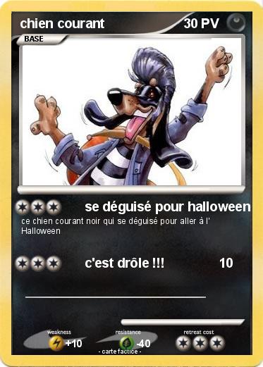 Pokemon chien courant