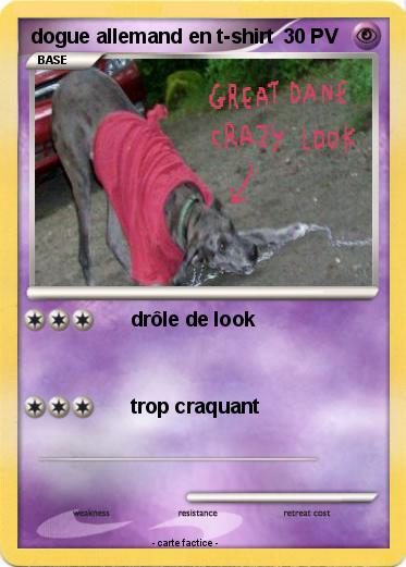 Pokemon dogue allemand en t-shirt