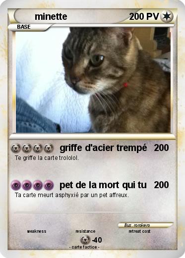 Pokemon minette