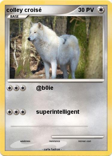 Pokemon colley croisé