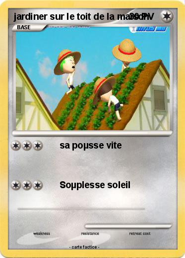 Pokemon jardiner sur le toit de la maison