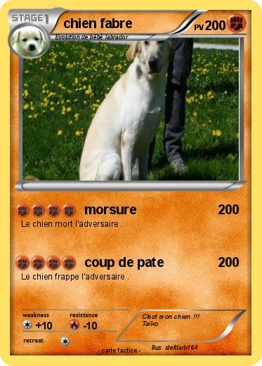 Pokemon chien fabre