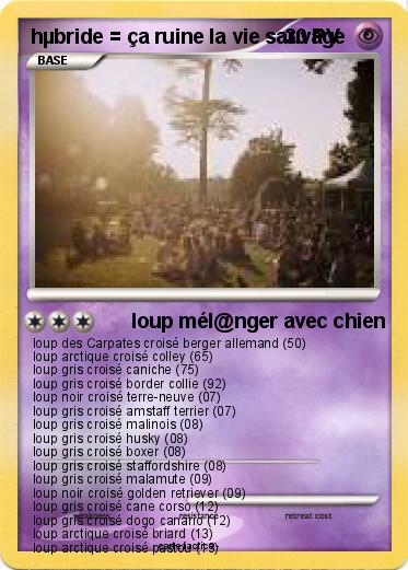 Pokemon hµbride = ça ruine la vie sauvage