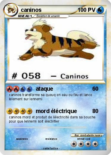 Pokemon caninos