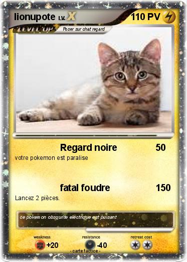 Pokemon lionupote