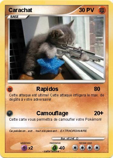 Pokemon Carachat