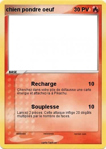 Pokemon chien pondre oeuf