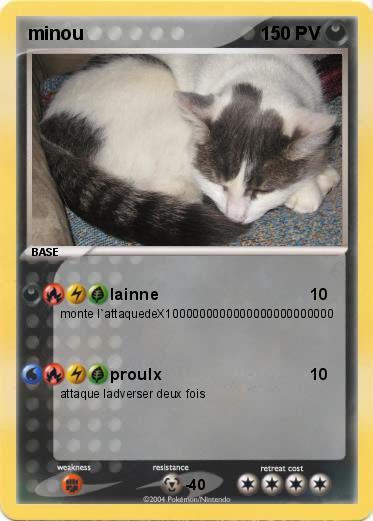 Pokemon minou