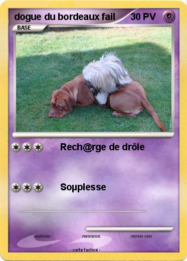 Pokemon dogue du bordeaux fail