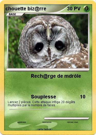 Pokemon chouette biz@rre