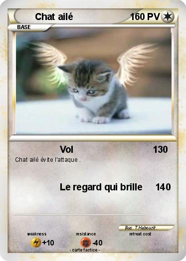 Pokemon Chat ailé