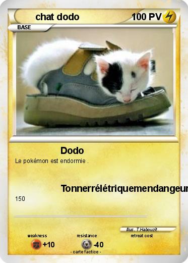 Pokemon chat dodo