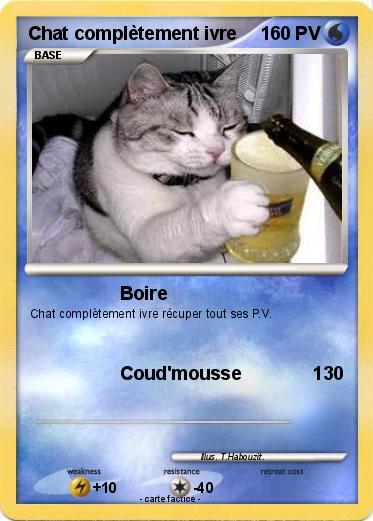 Pokemon Chat complètement ivre