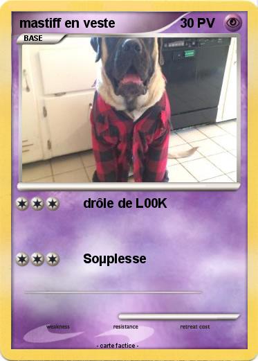 Pokemon mastiff en veste