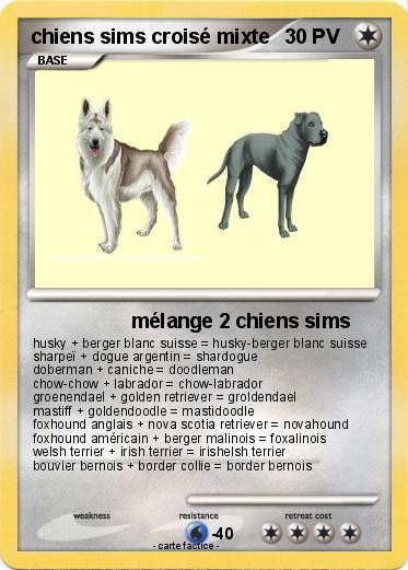 Pokemon chiens sims croisé mixte