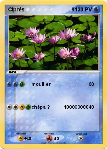 Pokemon Ciprès                                9                                                                               