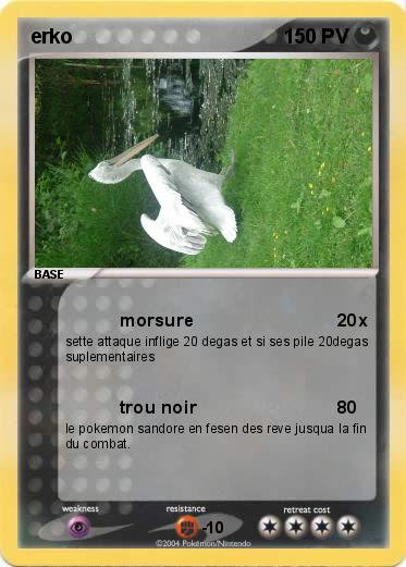 Pokemon erko