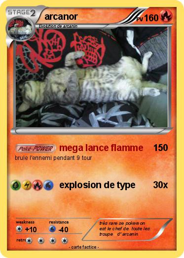 Pokemon arcanor