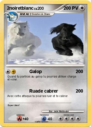 Pokemon 2noiretblanc