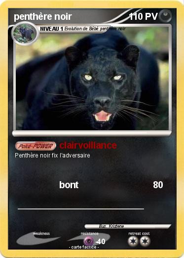 Pokemon penthère noir