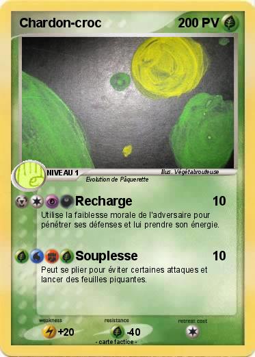 Pokemon Chardon-croc