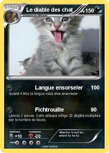 Pokemon Le diable des chat