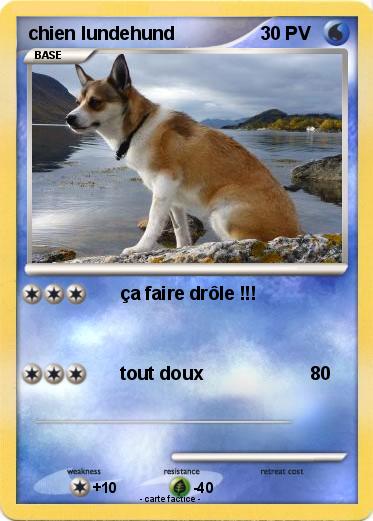 Pokemon chien lundehund