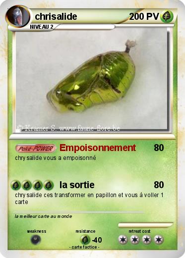 Pokemon chrisalide