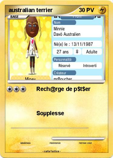 Pokemon australian terrier