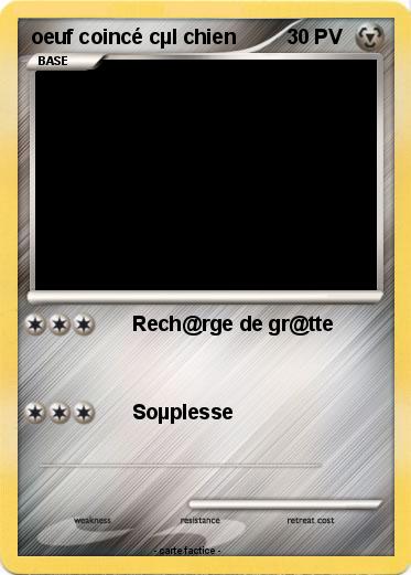 Pokemon oeuf coincé cµl chien