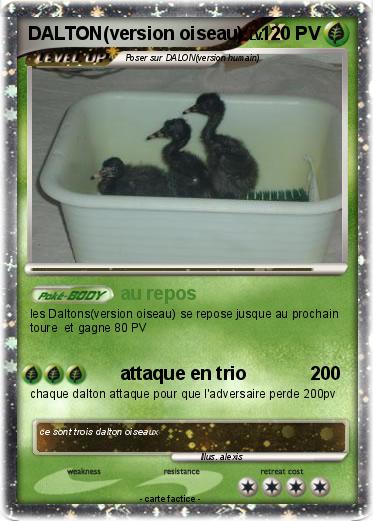 Pokemon DALTON(version oiseau)