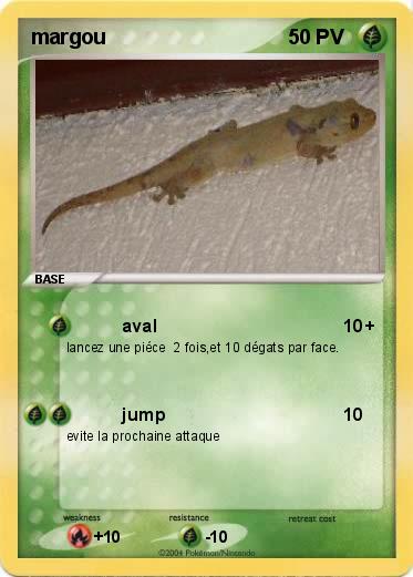 Pokemon margou