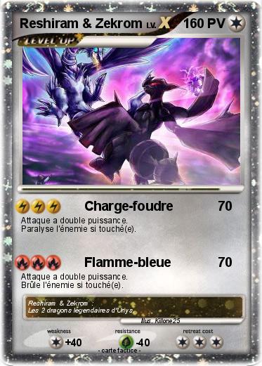 Pokemon Reshiram & Zekrom