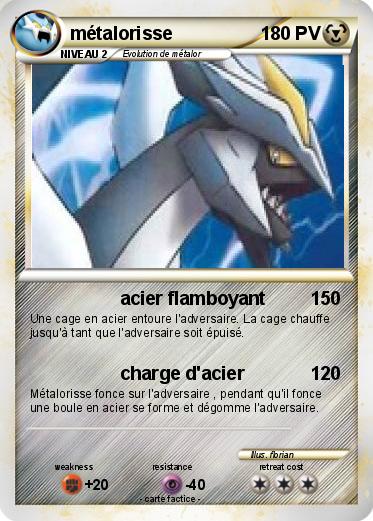 Pokemon métalorisse